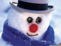 Alo, Poliţia? Mi-au furat omul de zăpadă!